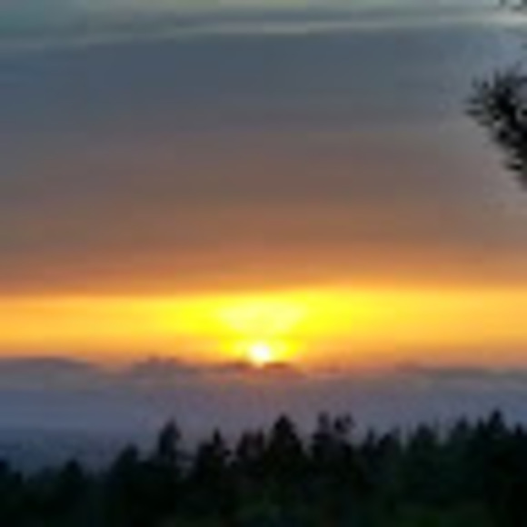 Meet your Posher, Catherine - Picture 1 of 1